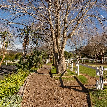 Novelle Vista Cottage ハウト・ベイ エクステリア 写真